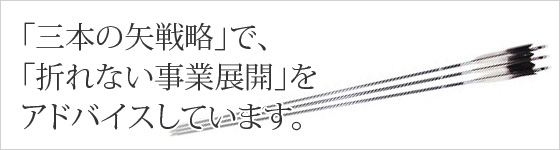 「三本の矢」戦略で、折れない事業展開をアドバイスしています